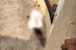 Man found dead outside auditorium at B C Road